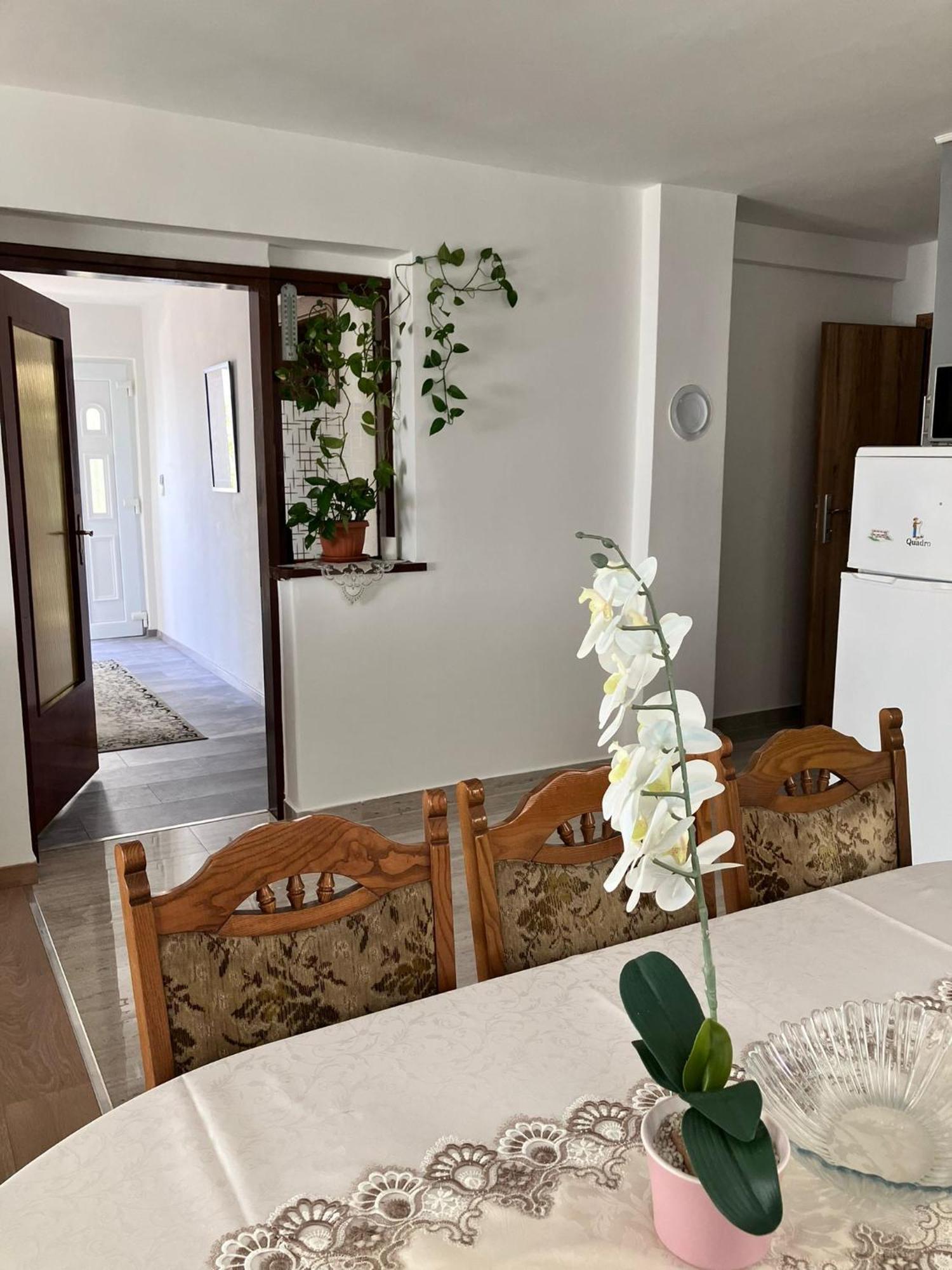 App Martina Apartment Dramalj Exterior photo